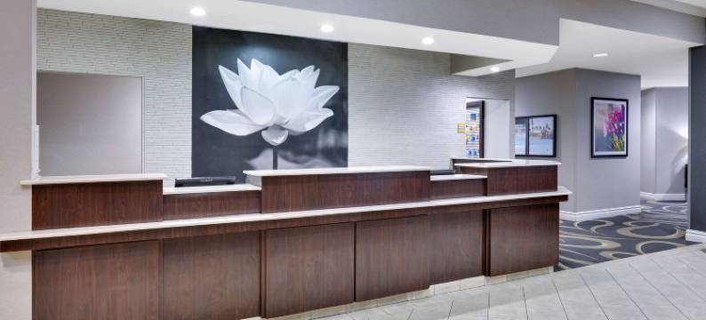 北达拉斯中心拉昆塔温德姆套房酒店(La Quinta Inn & Suites by Wyndham Dallas North Central)图片