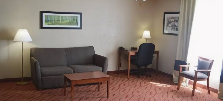 波普勒布拉夫北舒适酒店(Comfort Inn Poplar Bluff North)图片