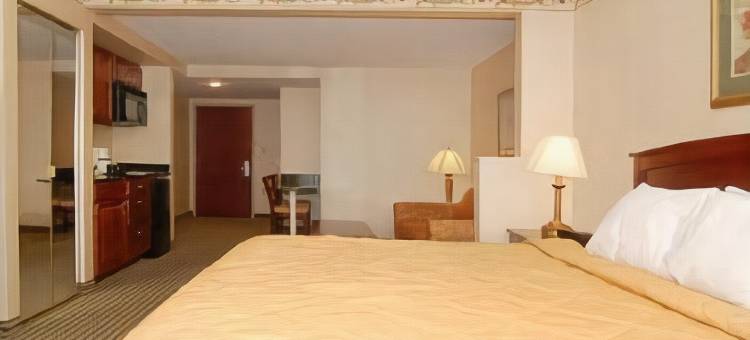 舒适套房酒店(Comfort Inn & Suites Carneys Point)图片