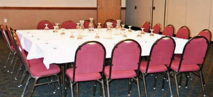 舒适套房酒店-麦迪逊北部(Comfort Inn & Suites Madison North)图片