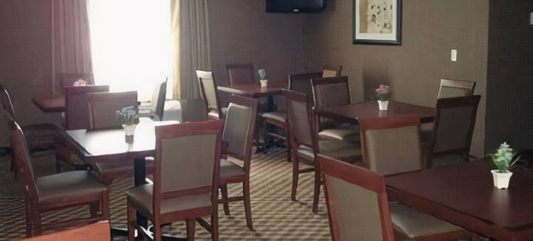 舒适酒店及套房- 艾尔德里(Comfort Inn & Suites)图片