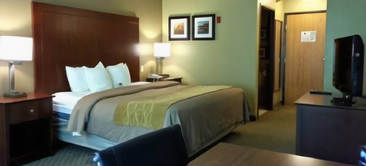 东莫林舒适套房酒店 - 近 I-80(Comfort Inn & Suites East Moline Near I-80)图片