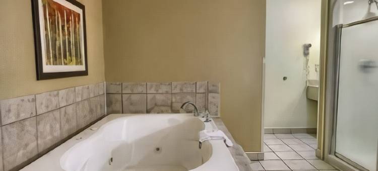 迈阿密斯堡-南代顿舒适全套房酒店(Comfort Suites Miamisburg - Dayton South)图片