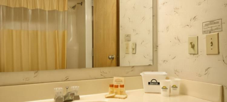 舒适套房酒店-拉芬列克星敦I-81和I-64附近(Comfort Inn & Suites Raphine - Lexington Near I-81 and I-64)图片