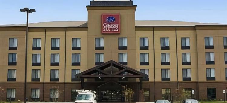 舒适套房酒店(Comfort Suites)图片