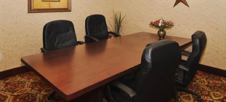 舒适套房酒店(Comfort Inn & Suites)图片