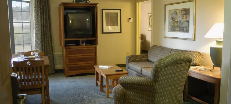 Staybridge Suites CO弹簧 - 空军学院(Staybridge Suites Colorado Springs North)图片