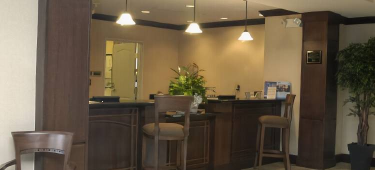 Staybridge Suites 托莱多 - 莫米(Staybridge Suites Toledo - Maumee)图片