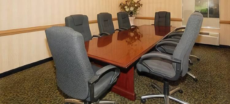 克里斯琴斯堡 I-81 舒适套房酒店(Comfort Inn & Suites Christiansburg I-81)图片