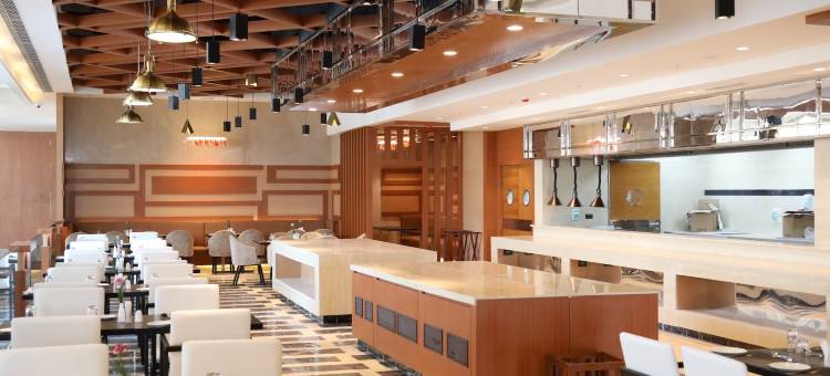 钦奈瑞加纳塔中央RS奥马尔酒店(Regenta Central RS Chennai OMR Sipcot)图片