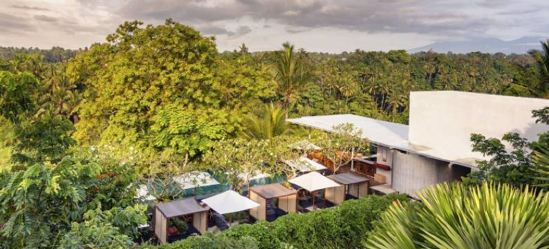 乌布比斯玛8号酒店(Bisma Eight Hotel)图片