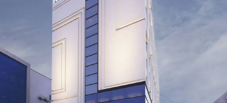 金奈沙米耶尔路诺富特酒店(Novotel Chennai Chamiers Road)图片