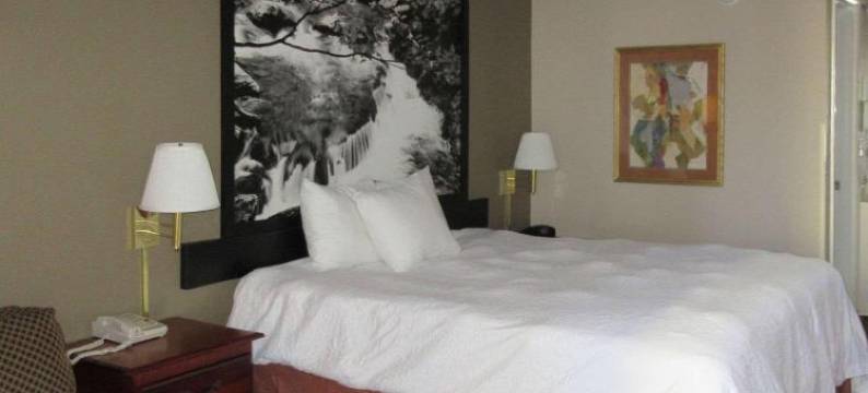 田纳西曼彻斯特温德姆速8酒店(Super 8 by Wyndham Manchester TN)图片