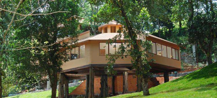 维提里度假村(Vythiri Village)图片