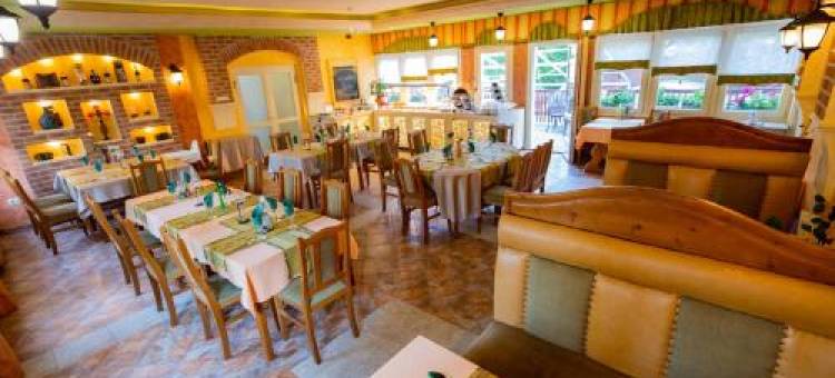 Alfa Hotel & Wellness Miskolctapolca图片