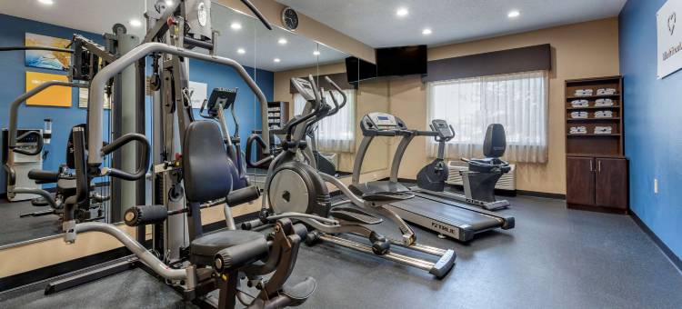 特雷霍特大学区舒适套房酒店(Comfort Suites Terre Haute University Area)图片