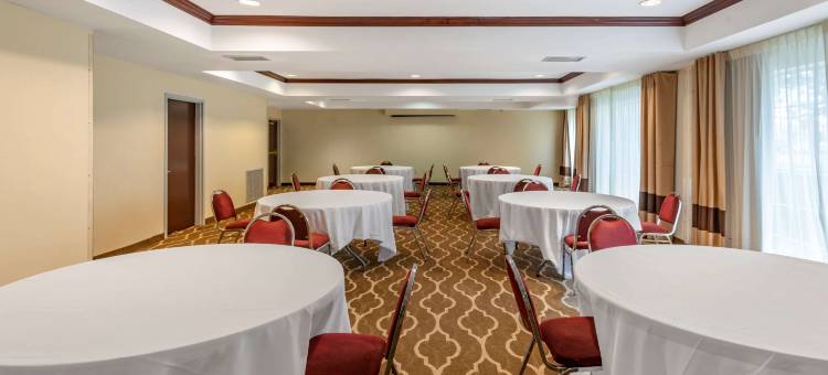 纽瓦克哈里森舒适套房酒店(Comfort Suites Newark - Harrison)图片