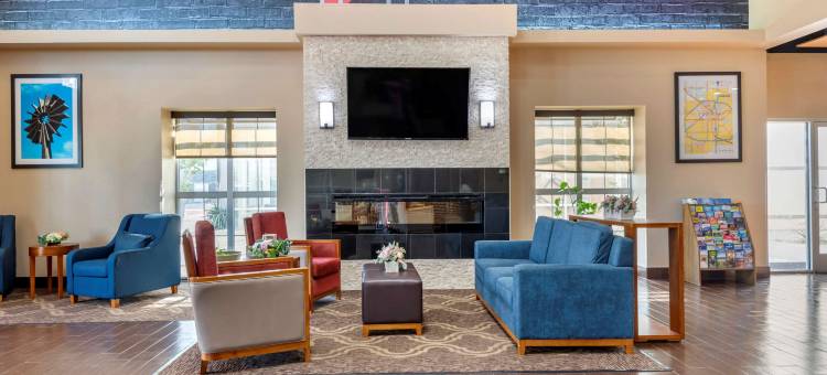 舒适套房酒店-大学(Comfort Suites - University)图片