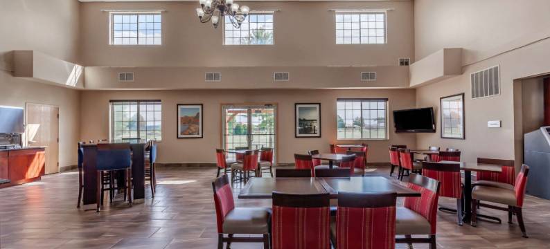 舒适套房酒店-德拉文日内瓦湖区(Comfort Suites Delavan - Lake Geneva Area)图片