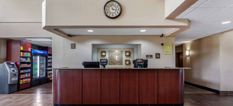 舒适套房酒店-德拉文日内瓦湖区(Comfort Suites Delavan - Lake Geneva Area)图片