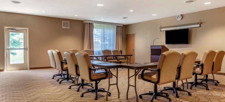 舒适套房酒店-德拉文日内瓦湖区(Comfort Suites Delavan - Lake Geneva Area)图片