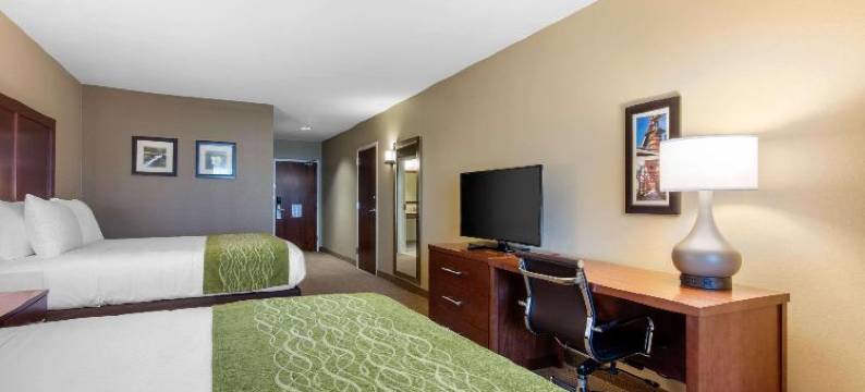 克罗斯普雷克斯乡村舒适套房酒店(Comfort Inn & Suites at CrossPlex Village)图片