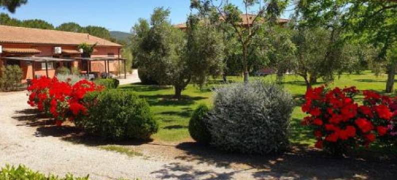 Agriturismo Fusini图片