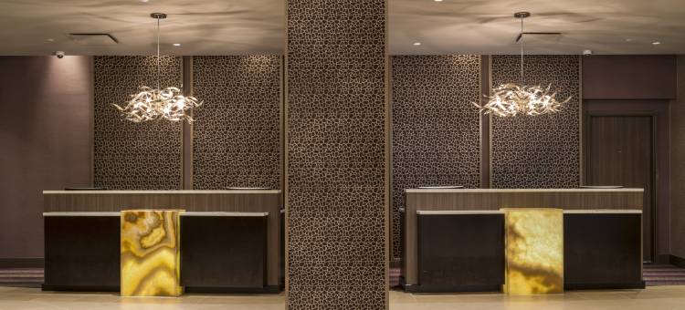 华盛顿特区 - 洛克维尔希尔顿酒店及行政会议中心(Hilton Washington DC/Rockville Hotel & Executive Meeting Center)图片