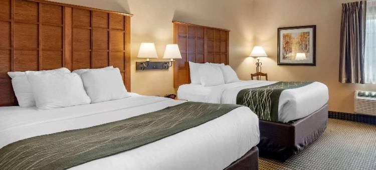 奇利科西及套房舒适酒店(Comfort Inn & Suites Chillicothe)图片
