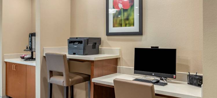 舒适套房酒店(Comfort Inn & Suites)图片