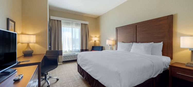 哈拉舒适套房酒店(Comfort Inn & Suites Harrah)图片