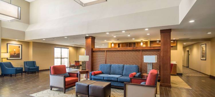 舒适套房酒店(Comfort Suites - Dodge City)图片