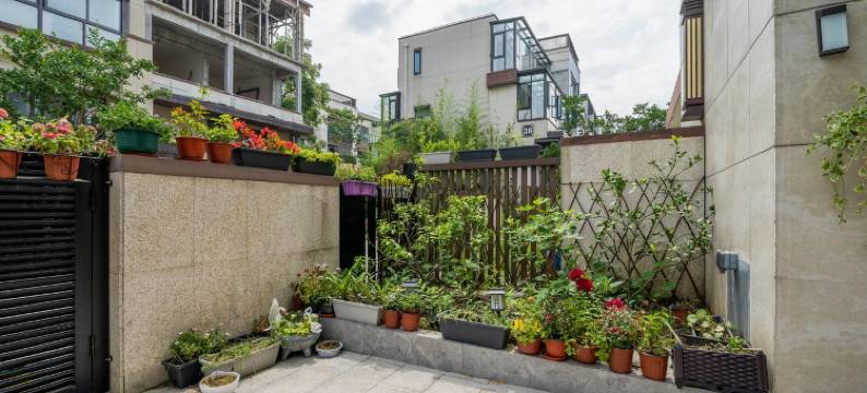 房东琴琴度假别墅(临湖路分店)图片