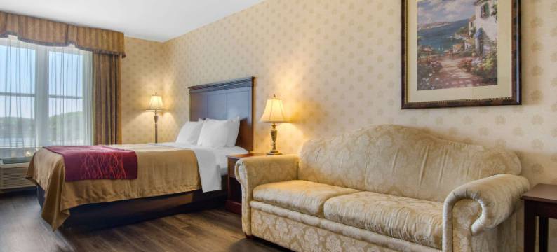 舒适套房酒店(Comfort Inn & Suites)图片