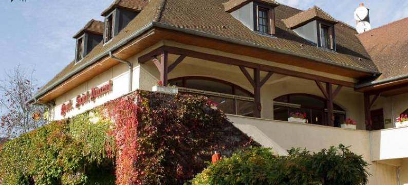 圣维森特酒店(Hostellerie St Vincent)图片