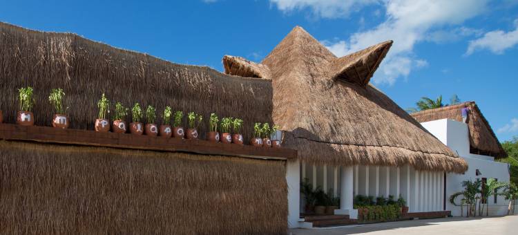 帕拉帕斯海滨HM别墅(Villas HM Palapas del Mar)图片