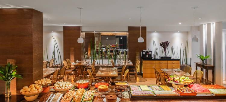 圣保罗纳科斯乌尼达斯城际酒店(Intercity São Paulo Nações Unidas)图片