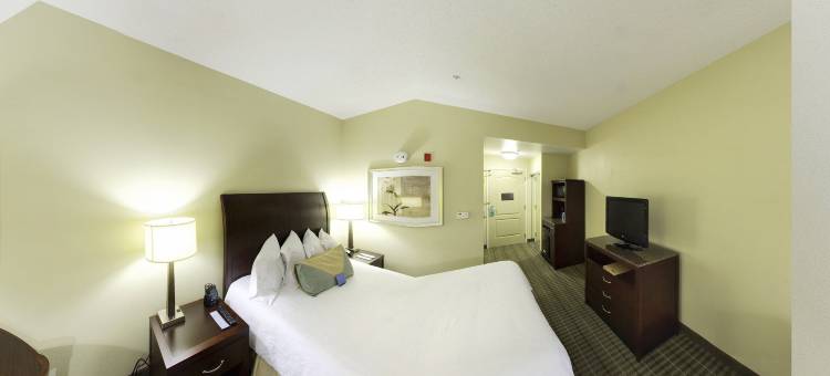 弗多斯塔希尔顿花园酒店(Hilton Garden Inn Valdosta)图片