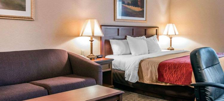 Wingate by Wyndham Livonia图片