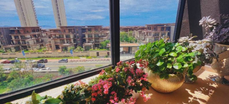 猫猫与海公寓(滨海休闲绿道2号分店)图片