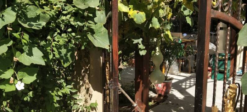 安静之家艺术之家度假别墅(天房南路分店)图片