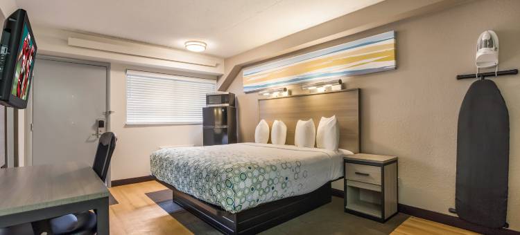 普林斯顿HomeTowne Studios-尤因/劳伦斯维尔(HomeTowne Studios Princeton - Ewing/ Lawrenceville)图片