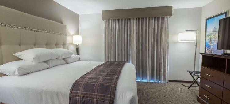 圣保罗市中心德鲁里广场酒店(Drury Plaza Hotel St. Paul Downtown)图片