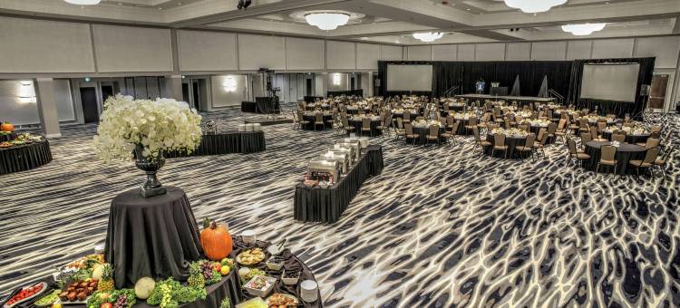 安大略伦敦希尔顿逸林酒店(DoubleTree by Hilton London Ontario)图片