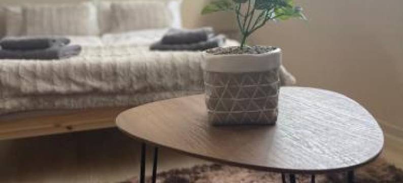 Garzon/ Studio Apartment图片