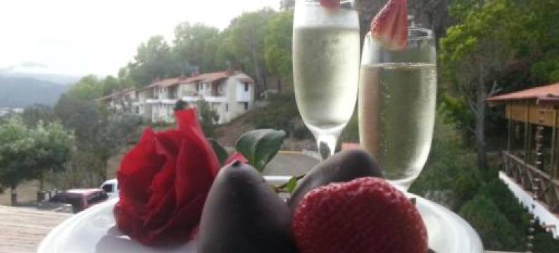 Hotel Altocerro图片