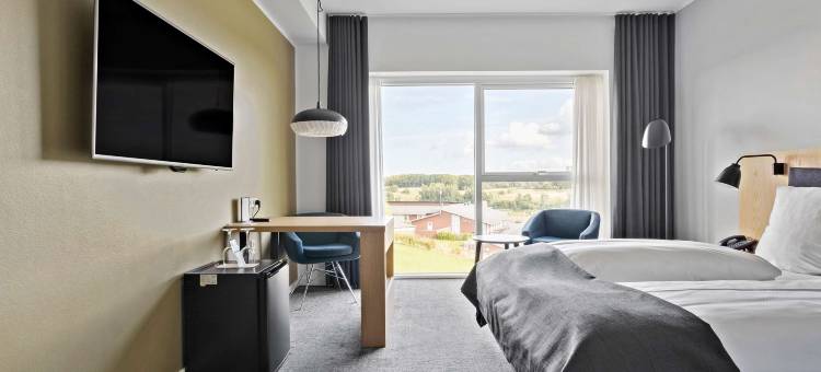 腓特烈西亚贝斯特韦斯特优质酒店(Best Western Plus Hotel Fredericia)图片