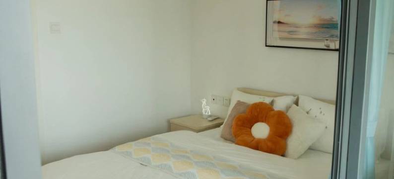 一真喜乐家公寓(海虹路分店)图片