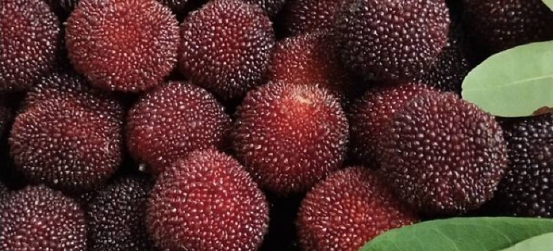 蒋卫云度假别墅(张灵慕公路分店)图片