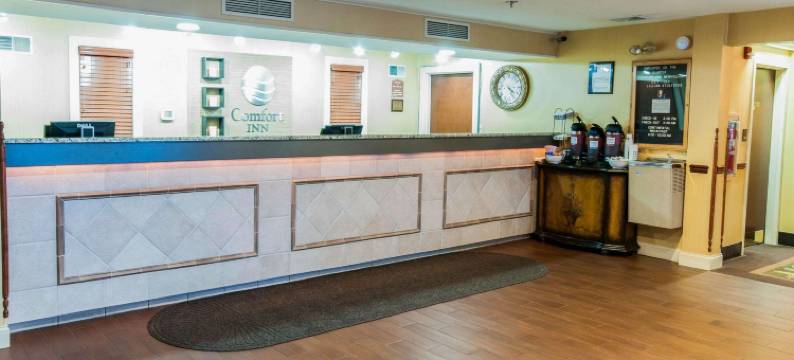 新荷兰阿米什乡村舒适酒店(Comfort Inn Amish Country)图片